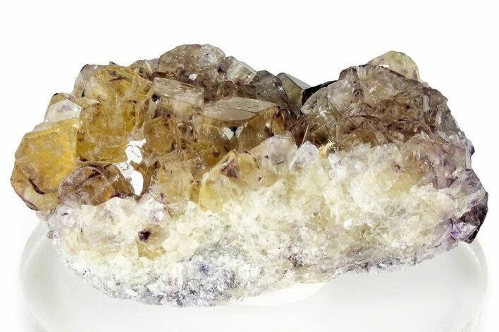 Yellow Cubic Fluorite Cluster w/ Purple Vertices - Okorusu Mine #326544